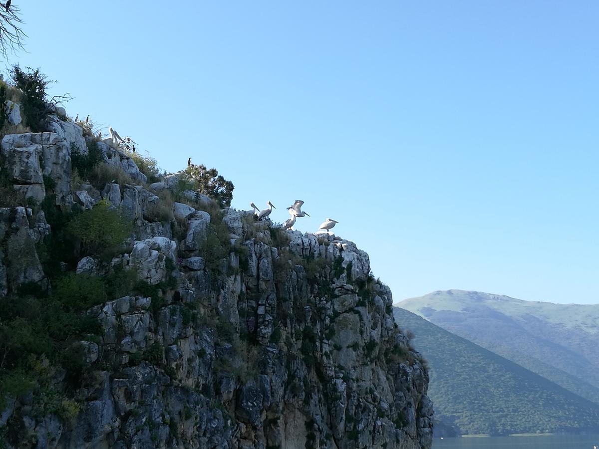 Agios Achillios Hotel Buitenkant foto