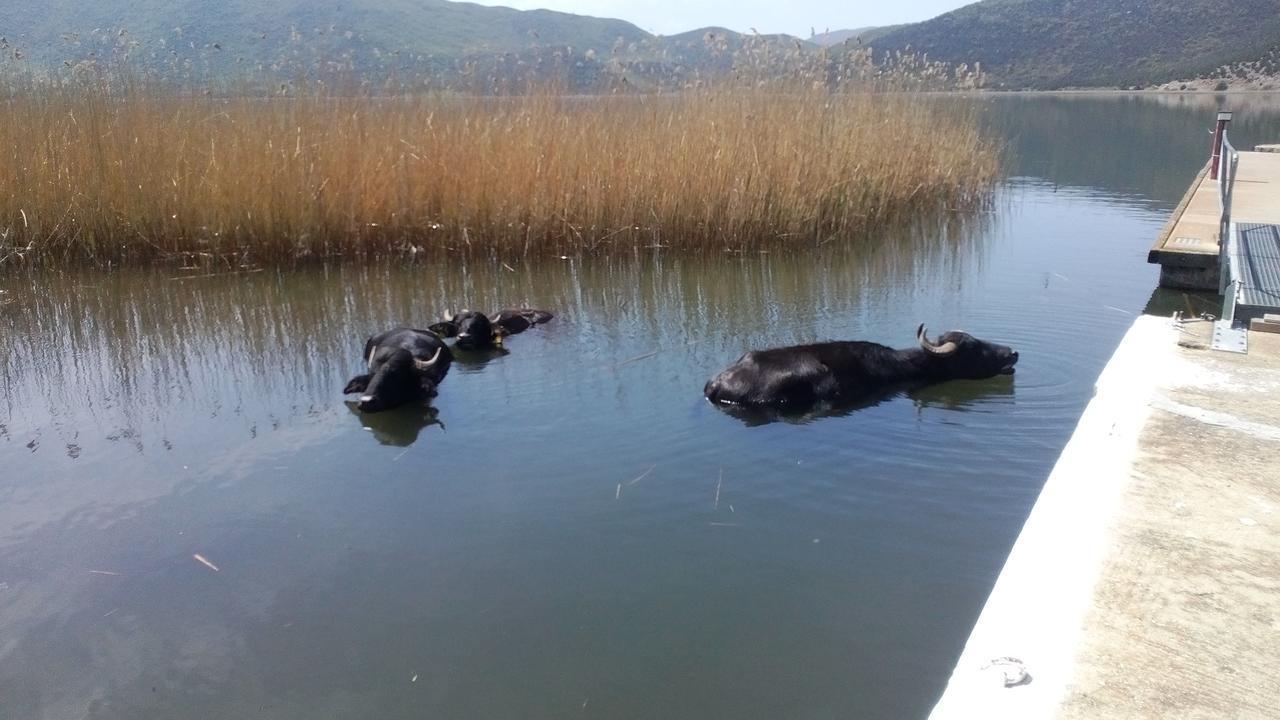 Agios Achillios Hotel Buitenkant foto